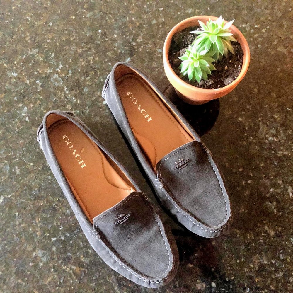 Coach Amber Suede Driving Moccasin/Loafer